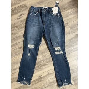 Abercrombie & Fitch Curve Love The Skinny High Rise Mom Jeans Size 29 8R